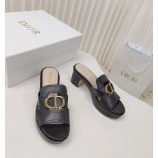 Christian Dior Slippers